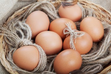 Tuval üzerinde bir sepet içinde kahverengi yumurta.