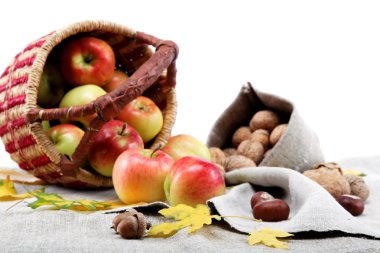 Autumn Tema. elma ve ceviz keten tuval üzerine.