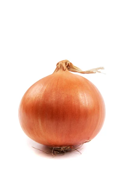 Ripe onion on a white background. — Stock Photo, Image