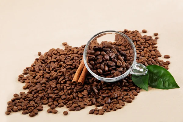 Šálek s kávová zrna a skořici. — Stock fotografie