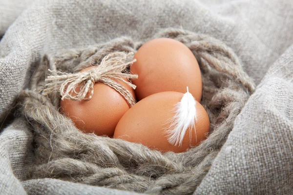 Коричневые яйца на холсте . — стоковое фото