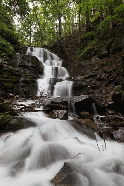 Cascada de montaña en el bosque verde . — Foto de Stock