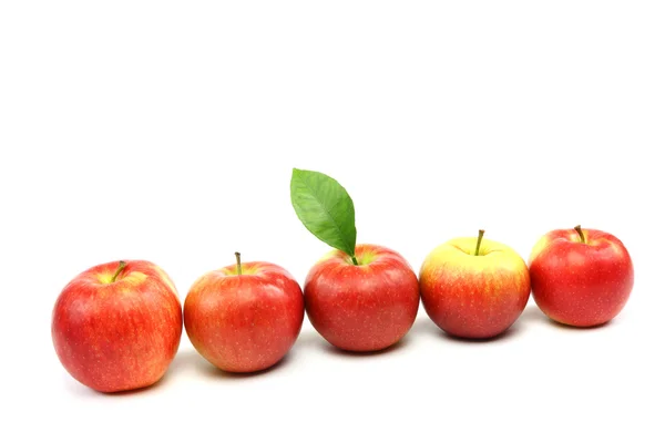 Manzanas rojas frescas aisladas sobre fondo blanco. — Foto de Stock