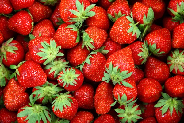 新鲜的草莓果作为背景. — 图库照片