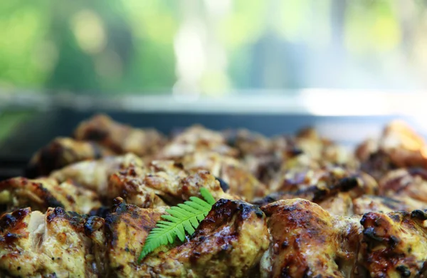 Shish kebab on the grill with smoke. — Stock Photo, Image