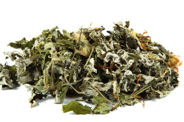 Rośliny lecznicze. zioła. zbiór ziół leczniczych na herbatę. — Zdjęcie stockowe