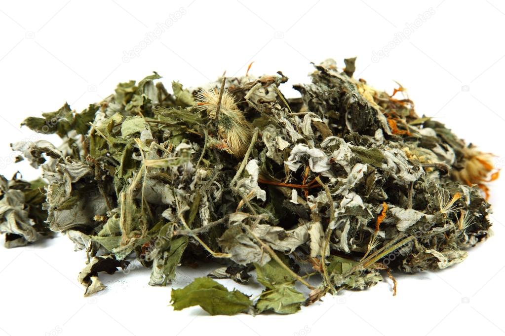 Medicinal plants. Herbs. Collection of medicinal herbs for tea.