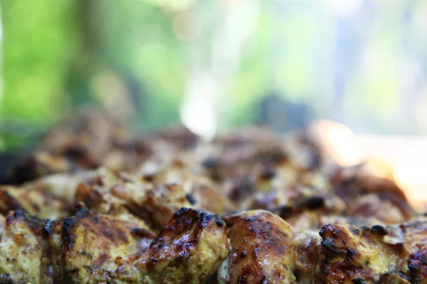 Shish kebab on the grill with smoke. — Stock Photo, Image