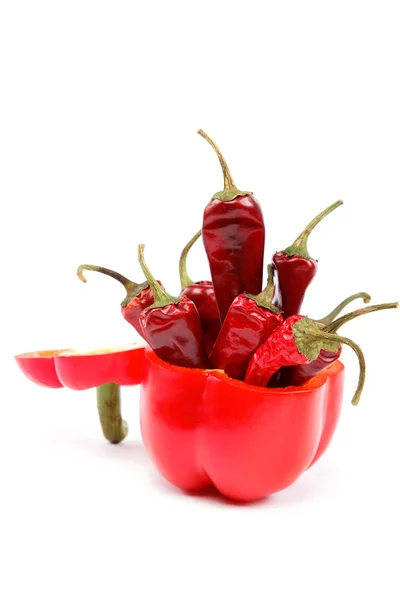 Κόκκινο πιπέρι και καρυκεύματα σε λευκό φόντο. — Φωτογραφία Αρχείου