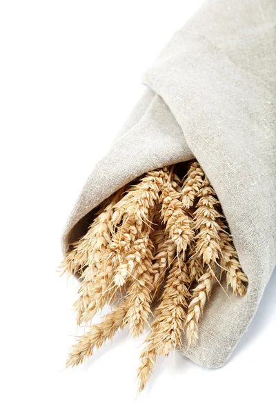 Ears of wheat in the canvas. Isolated on white background. — Stock Photo, Image