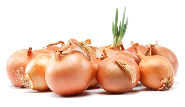 Fresh bulbs of onion on a white background — Stock Photo, Image