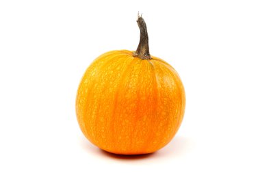 Beyaz arkaplanda kabak izole.