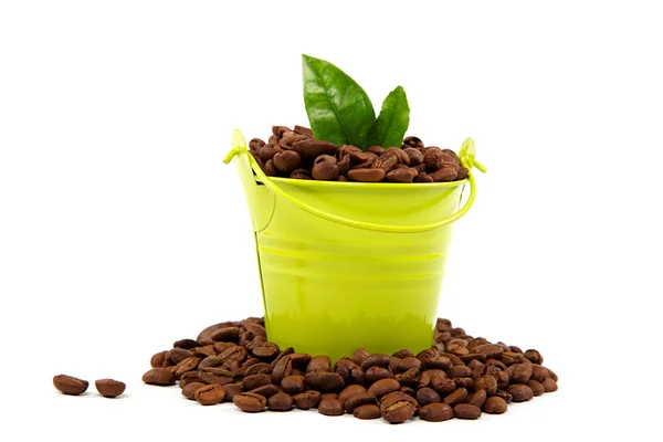 Coffee beans in a bucket and green leaves on a white background. — Stock Photo, Image