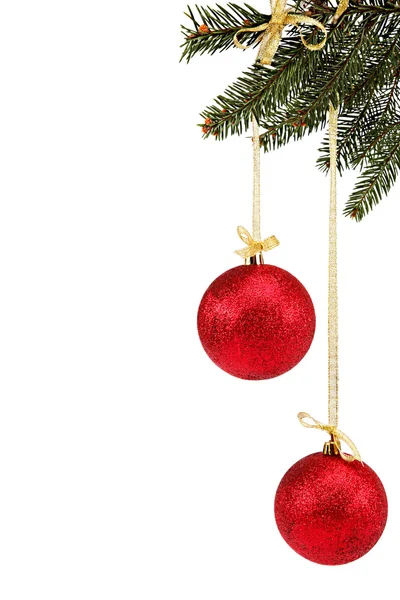 Christmas balls on fir branch. — Stock Photo, Image