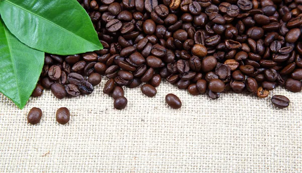 Granos de café tostados en saco. —  Fotos de Stock