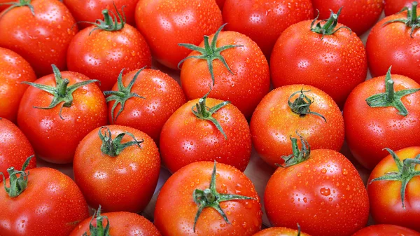 Frische rote Tomaten im Wassertropfen als Hintergrund. — Stockfoto