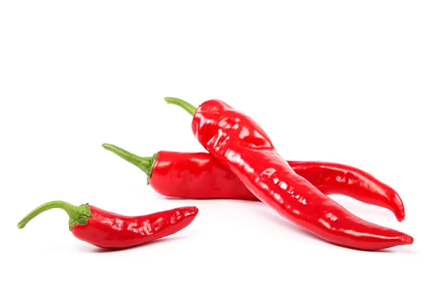 Fresh chili peppers isolated on white background. — Stock Photo, Image