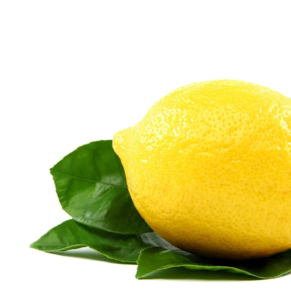 Fresh lemon with green leaves, isolated on a white background. — Stock Photo, Image