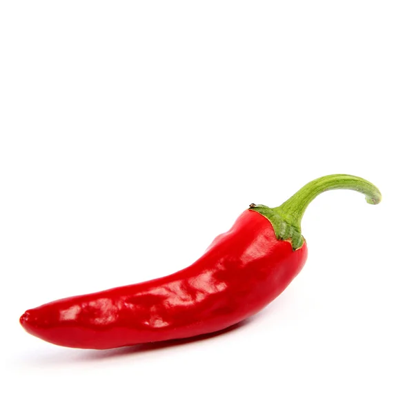 Röd varm chili peppar på en vit bakgrund. — Stockfoto