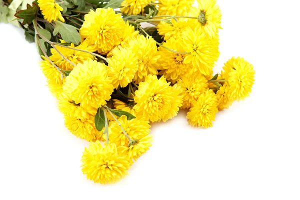 Strauß gelber Blumen, Chrysanthemen. — Stockfoto