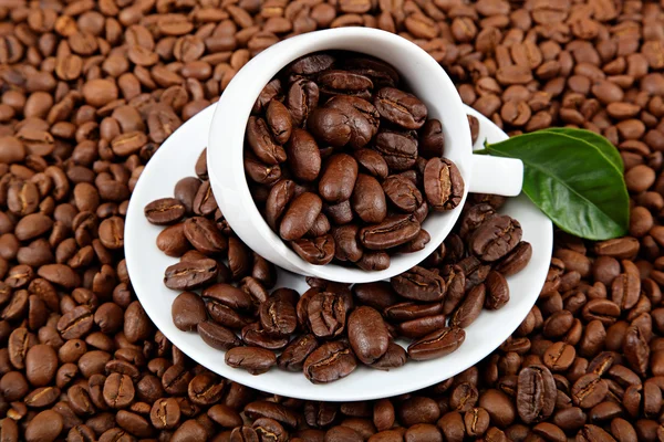 Fincan kahve çekirdekleri ve yeşil yaprakları ile. — Stok fotoğraf