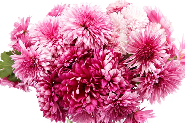 Boeket van rode bloemen, chrysanten. — Stockfoto