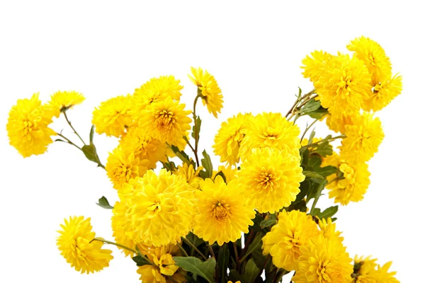 Strauß gelber Blumen, Chrysanthemen. — Stockfoto