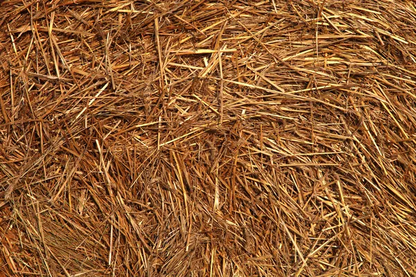 Straw as background. — Stock Photo, Image