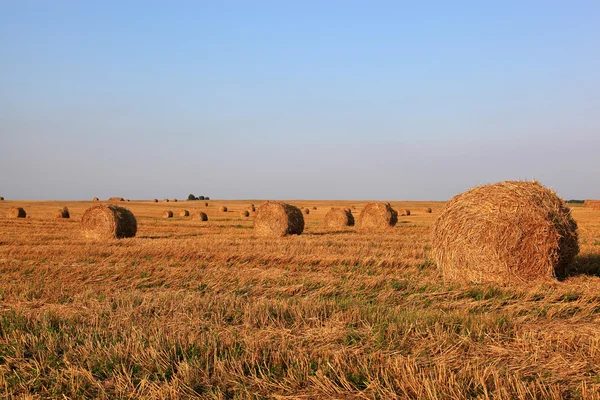 Campo con rollos de heno en una hermosa puesta de sol . — Foto de Stock