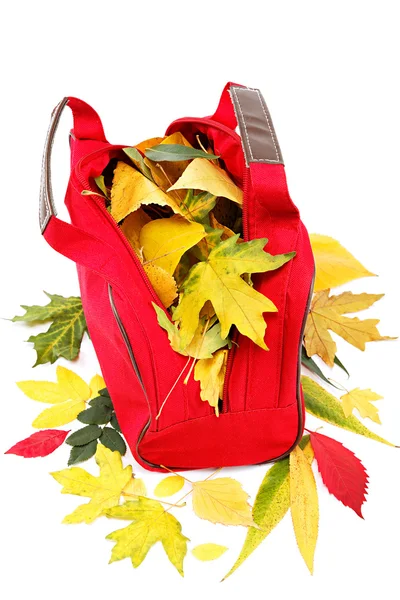 Herbstblätter in einer roten Tasche isoliert auf weißem Hintergrund. — Stockfoto