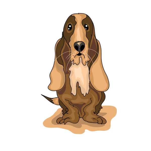 Basset — Vector de stock