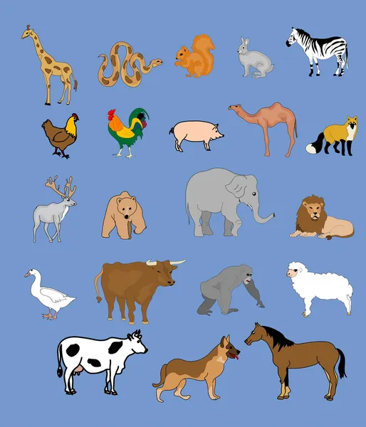 Grupo de animales — Vector de stock