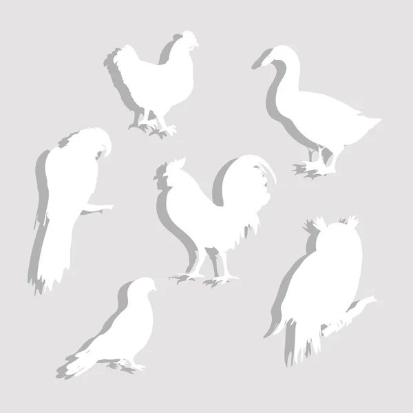 Kağıt kuşlar set — Stok Vektör