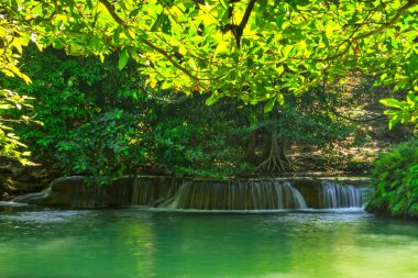 Yeşil orman sonbaharda su