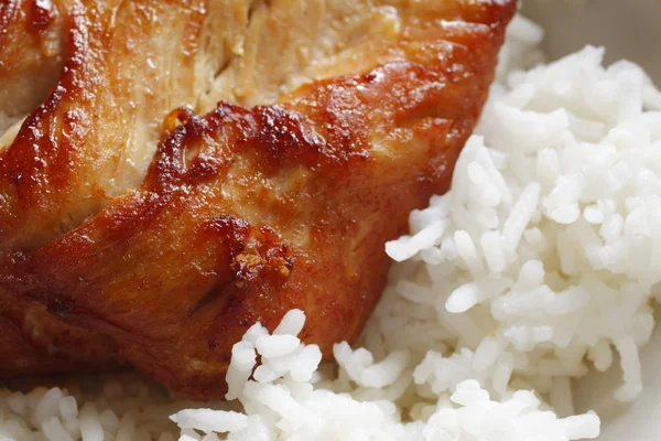 Kyckling med ris (selektiv inriktningkuře s rýží (selektivní zaměření) — Stock fotografie