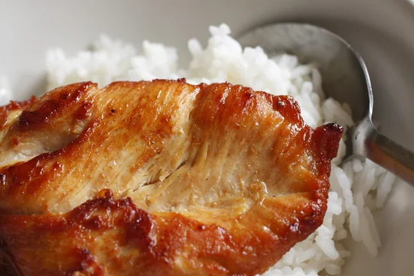 Frango com arroz (Foco seletivo ) — Fotografia de Stock