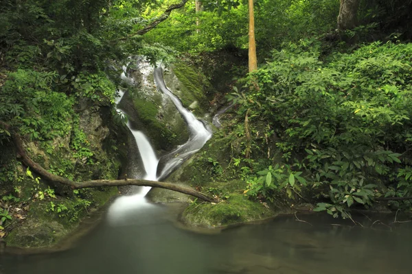 Yeşil orman sonbaharda su — Stok fotoğraf