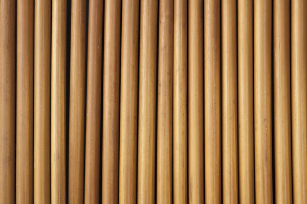 Textura de bambu — Fotografia de Stock