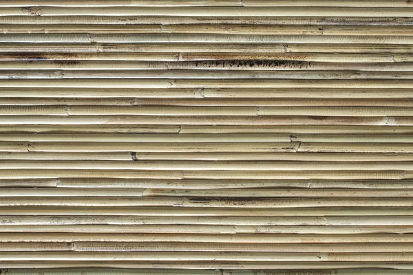 Bambusová textura — Stock fotografie