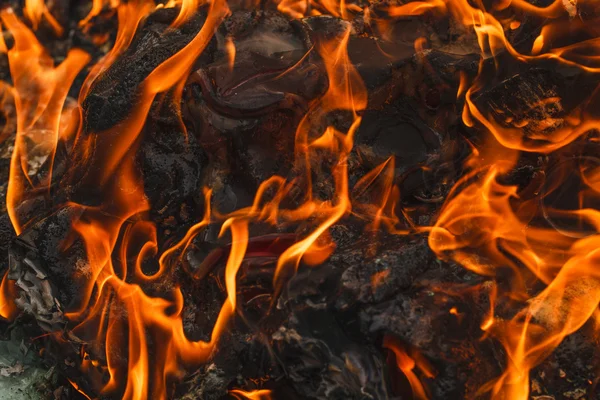 La basura arde de cerca. — Foto de Stock