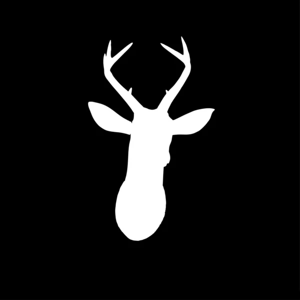 White deer head on dark background — Stock Photo, Image
