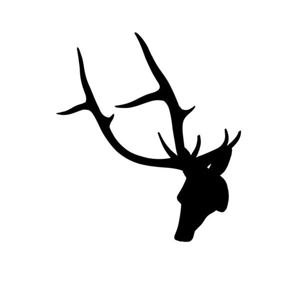 Silueta cabeza de ciervo negro sobre fondo blanco — Foto de Stock