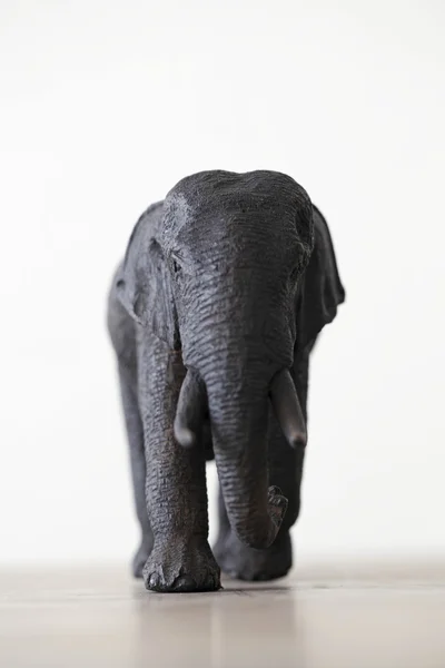 Éléphant de bois — Photo