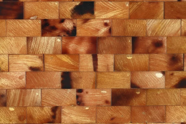 Square shell pattern — Stock Photo, Image