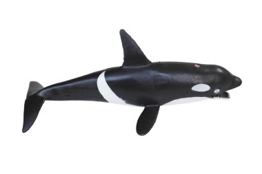 Beyaz arka plan üzerinde izole plastik orca oyuncak