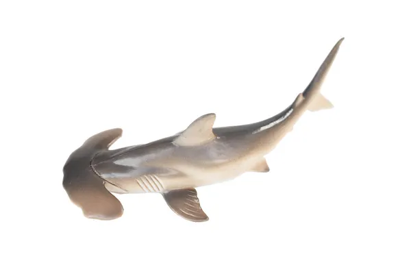 Jouet de requin marteau en plastique isolé sur fond blanc — Photo