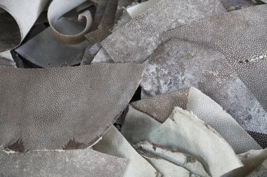 ışın deri yığını