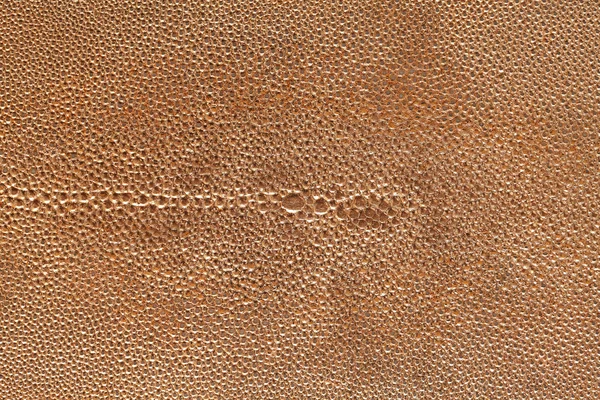 Copper leaf in leather — Stock Photo, Image