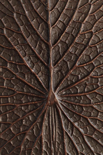 Bronze lotus texture — Stock Photo, Image