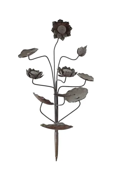 Lotus bronze isoleret på hvid baggrund - Stock-foto